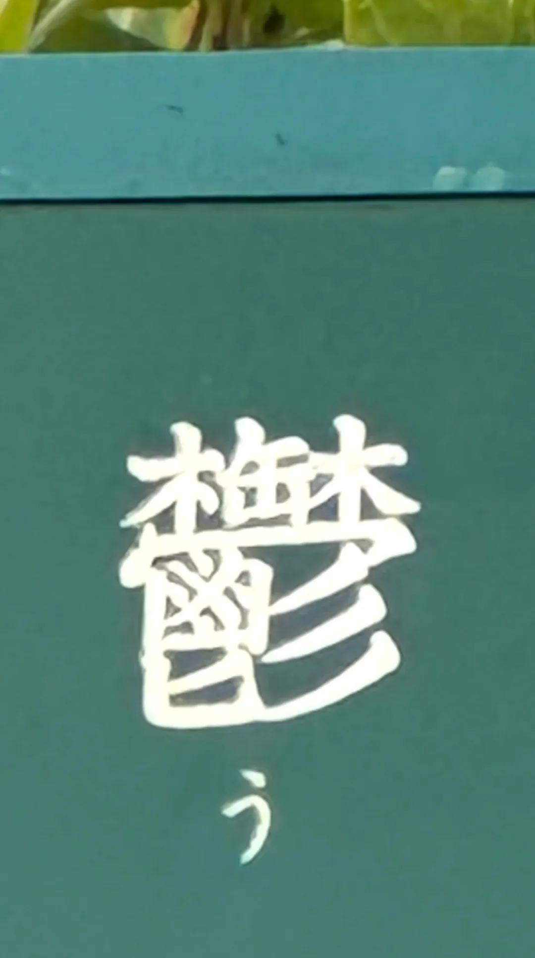 这么复杂的汉字念什么？来个高手解读一下！