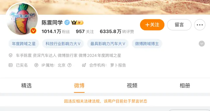 多平台被禁言后，陈震回应