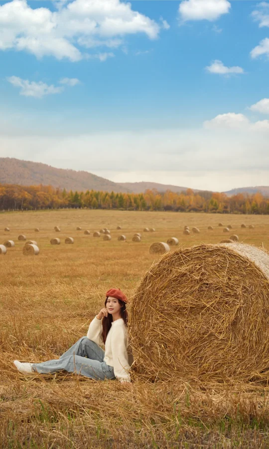 全屏封神挑战｜实拍内蒙古的秋天🍂