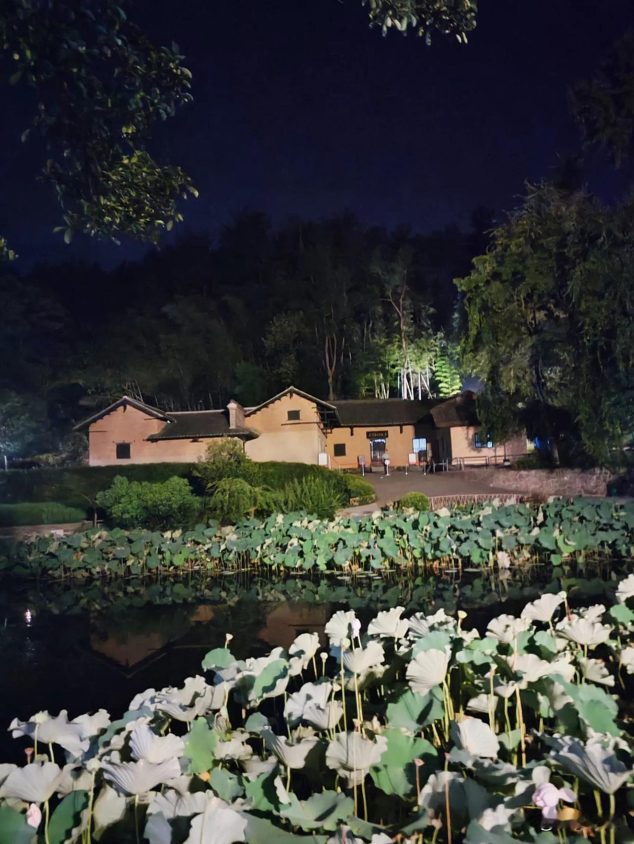 一座农村土房，武警守护！！最美老家❤️ 乡野田间小景