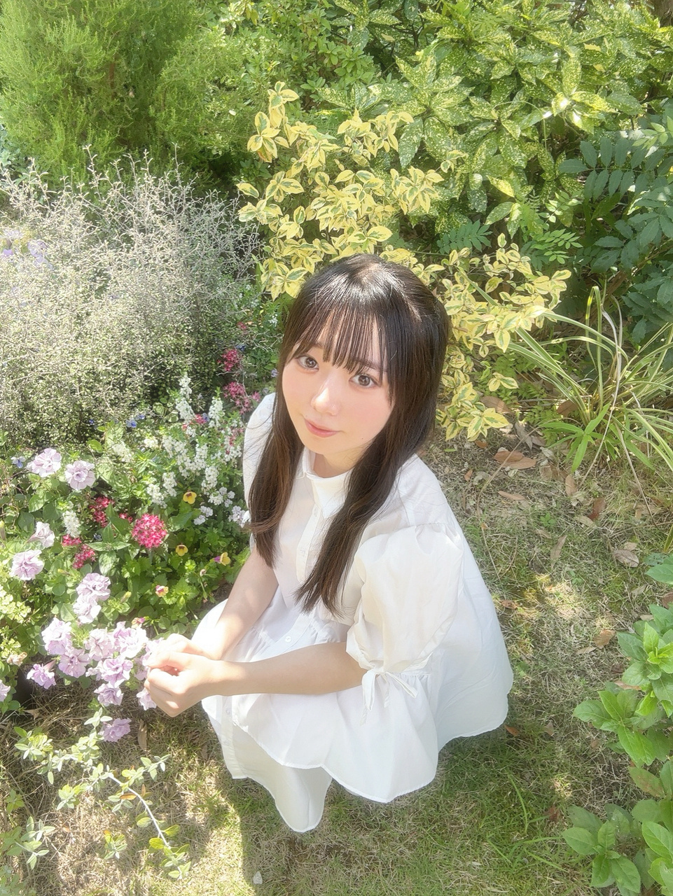 坂井新奈「自然界隈してきましたよー！深緑やった～自然っていいですね〜、すがすがし