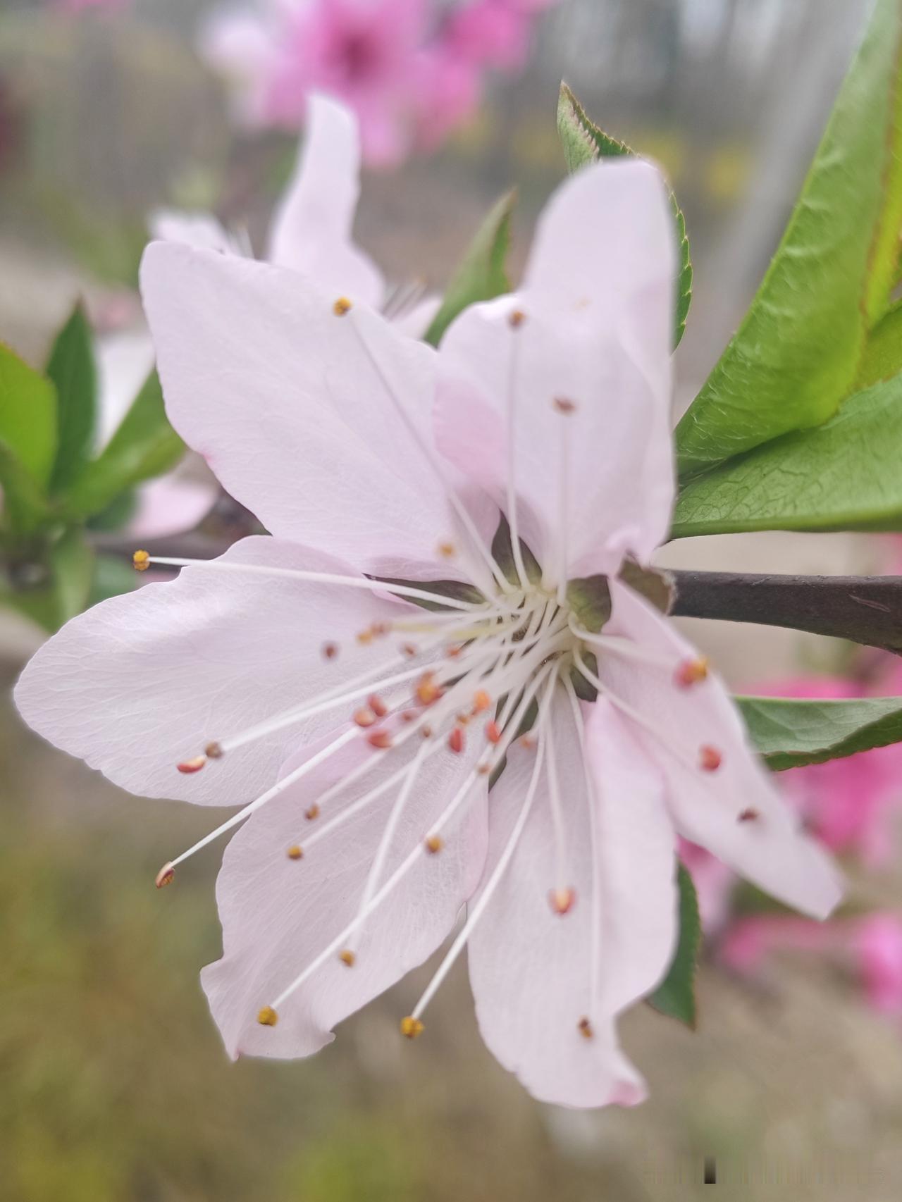 对于偏心老人最清醒的做法:

一、面对偏心老人，放弃讨要公平。

不被重视的子女