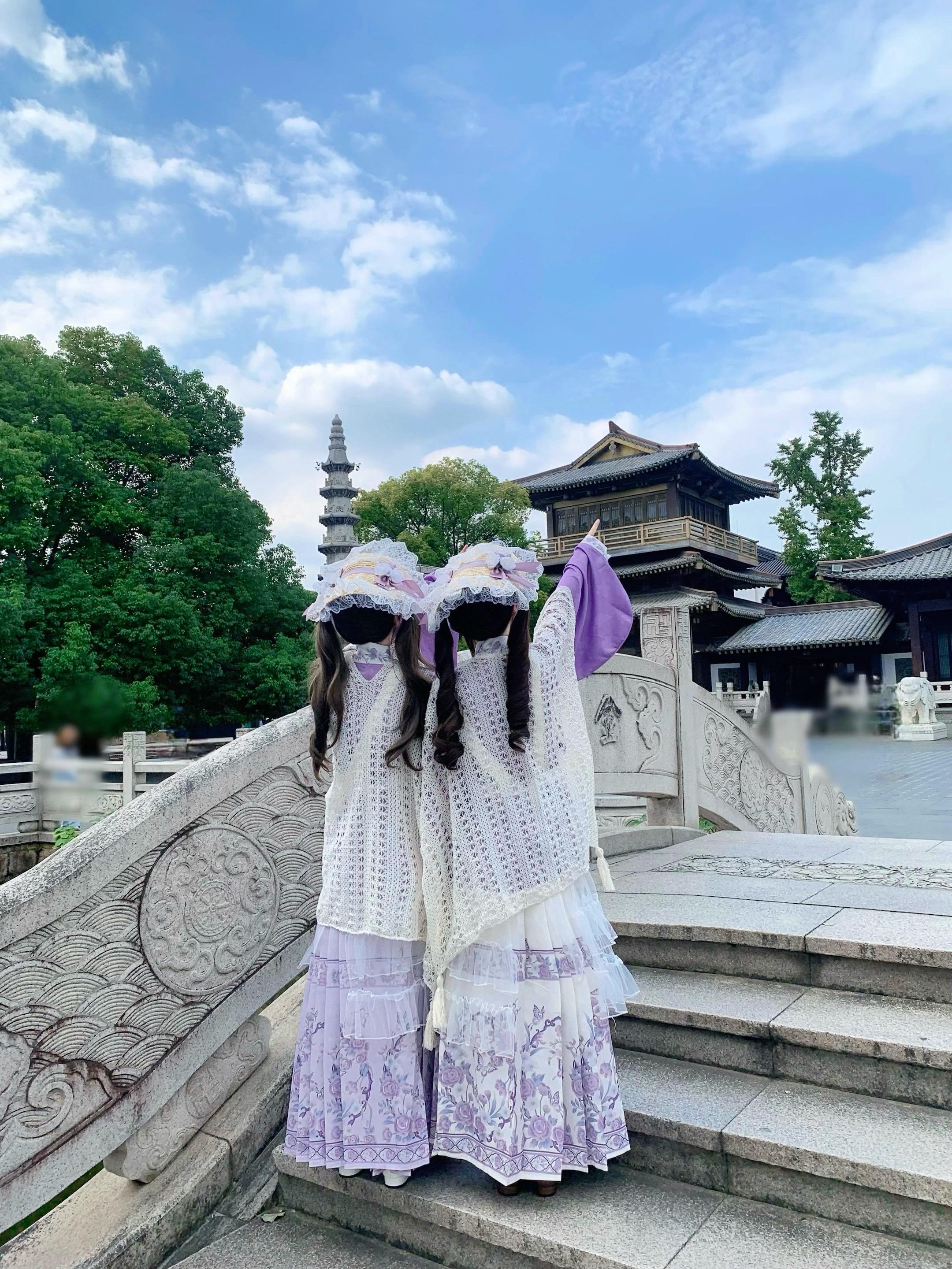 而我路过那江南小镇惹了你