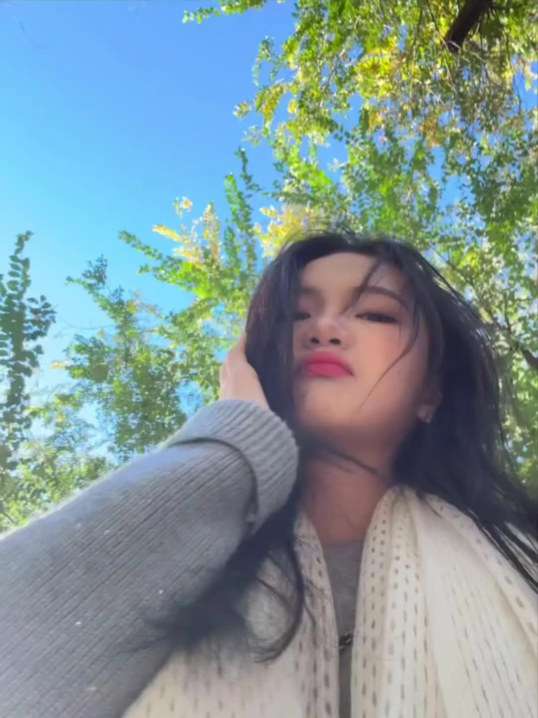 我不会再去为谁装扮成玫瑰 而我要做自己的向日葵🌻