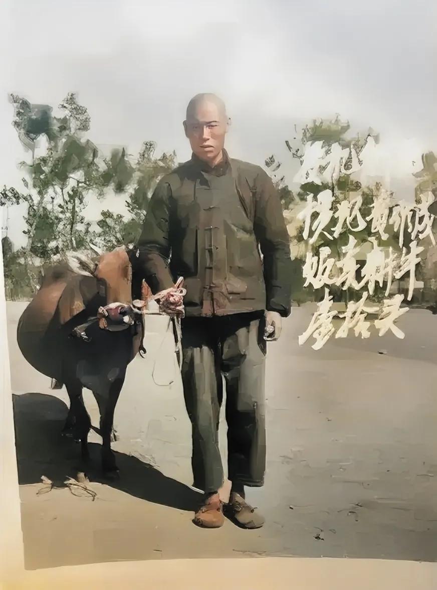 上世纪60年代，一名“投机倒把”分子，因为贩卖耕牛，被人赃并获，这是他当时留下的