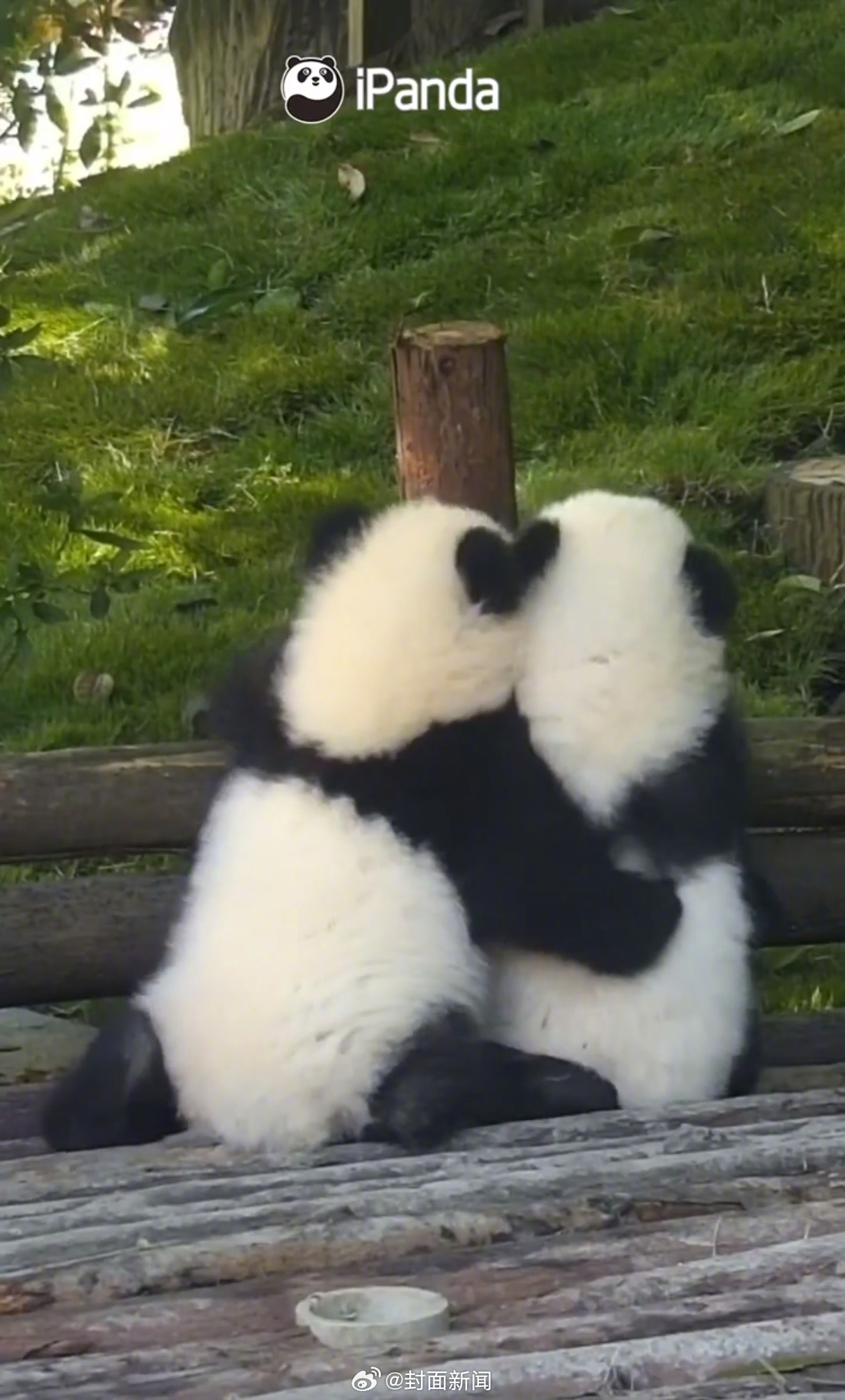 #小封日历# 当“小满”遇上“520”~你今天有啥安排？[我爱你]#520惊喜盲