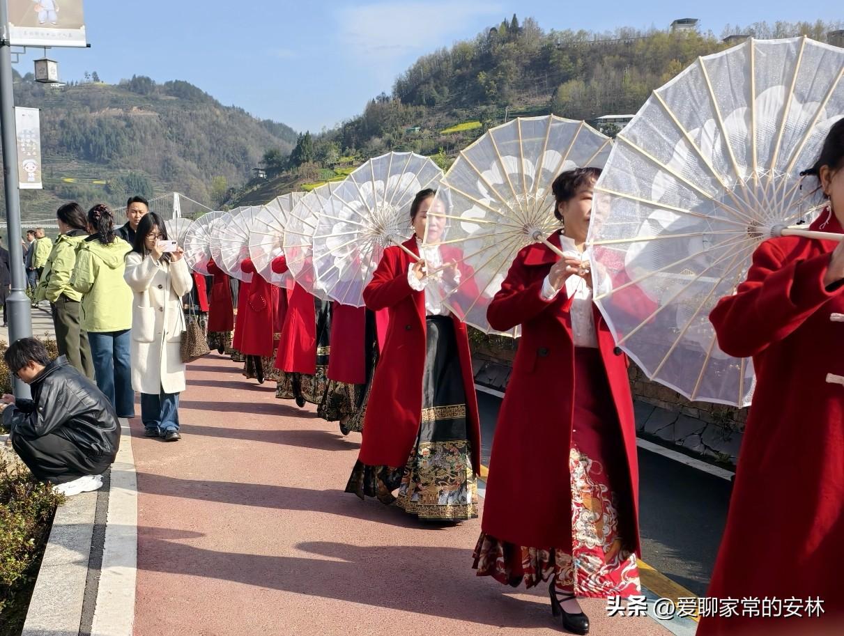 今日宦姑滩茶园开园，很是热闹。一群媳妇们着马面裙红风衣，打着白伞缓步走来。乡村吹