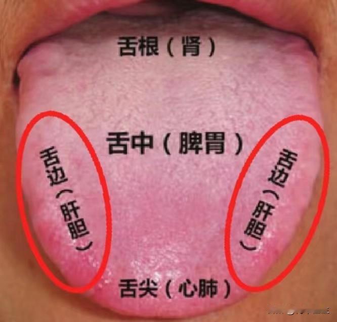 今日挑战，看56个舌象

大家好，我是何主任，今天不是很忙，在线帮大家看舌象，分