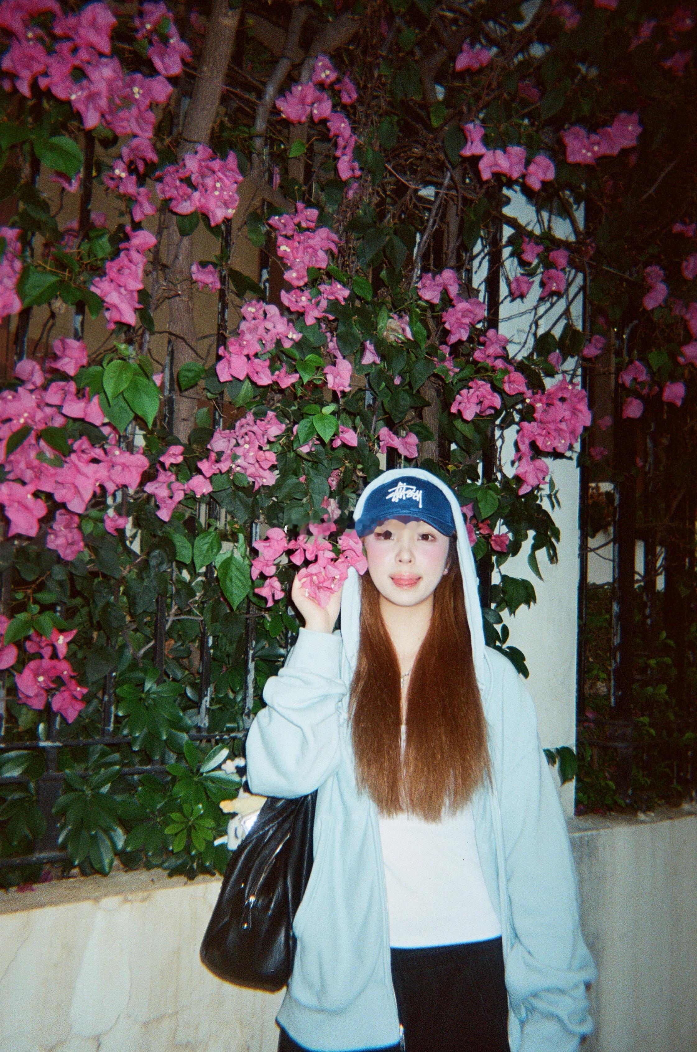🌸 
