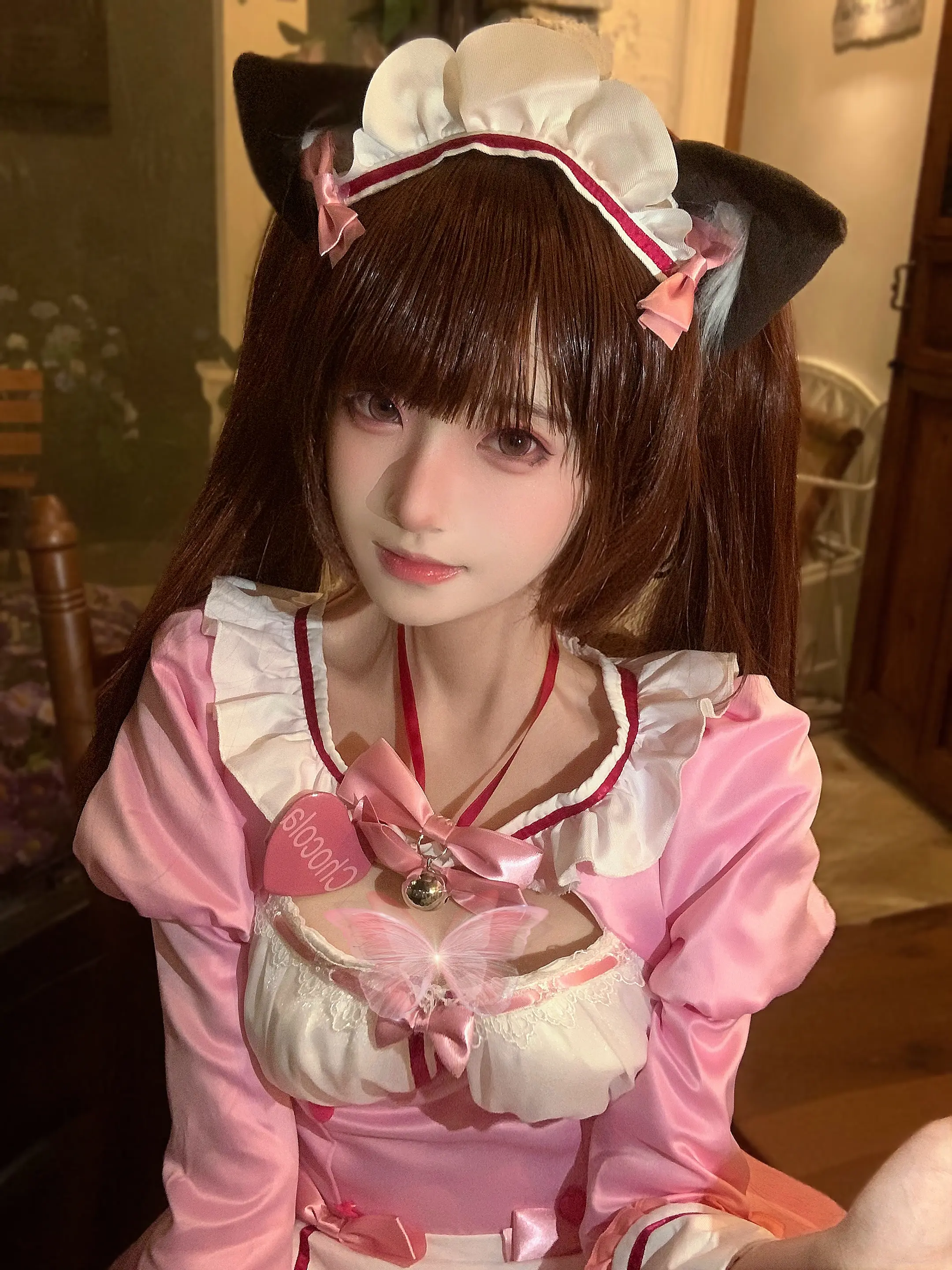 生而为猫 果咩纳塞^>⩊<^੭⑅