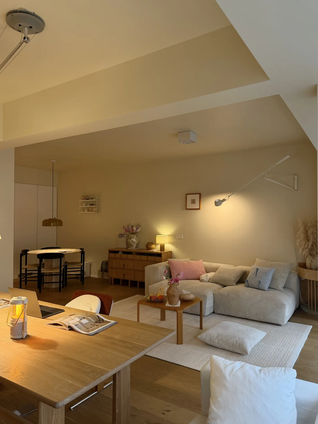 交换家的春天，来我家看猫