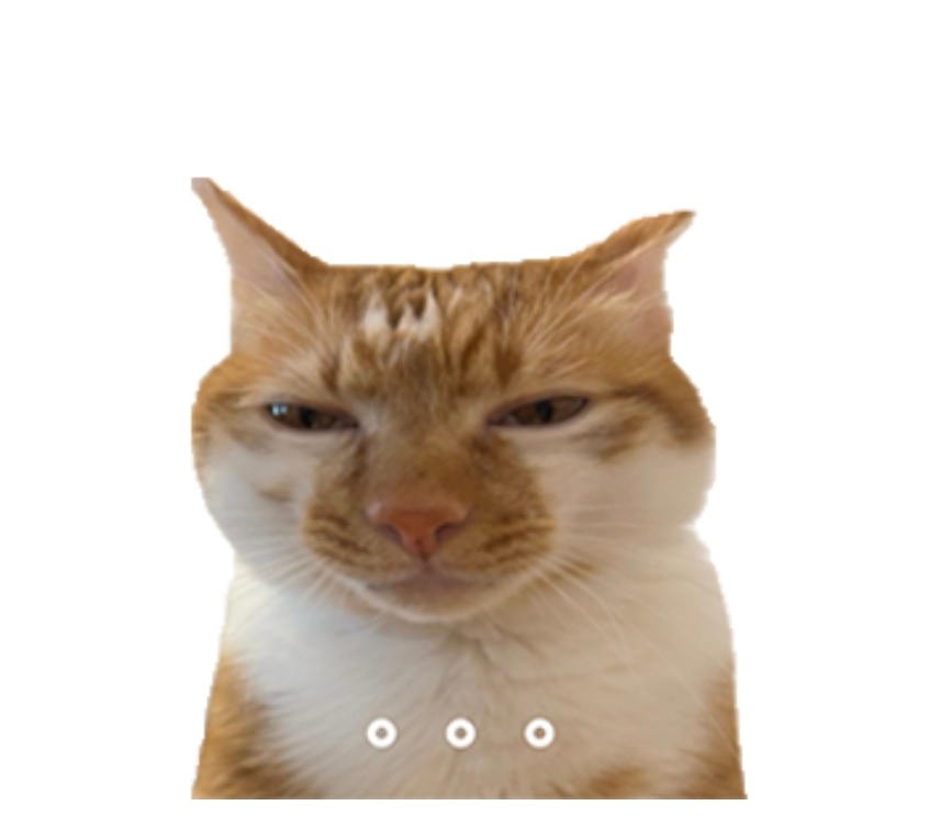 这两天一有亲戚问我有没有谈恋爱，我就这个表情不说话😶 