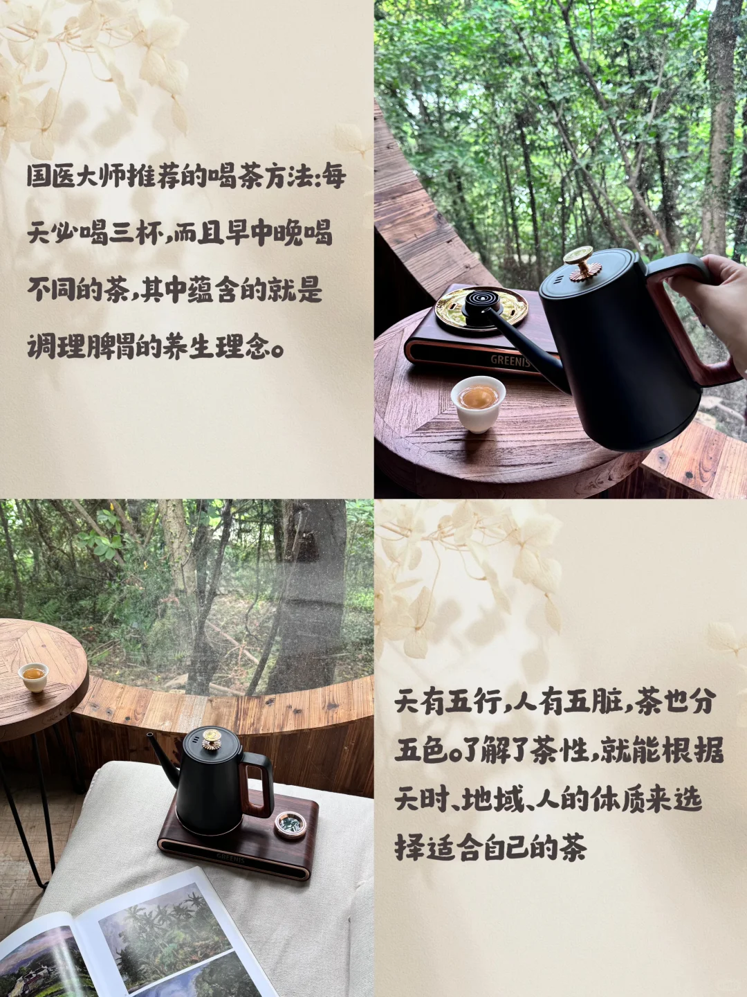 国医大师：养护脾胃三杯茶🍵