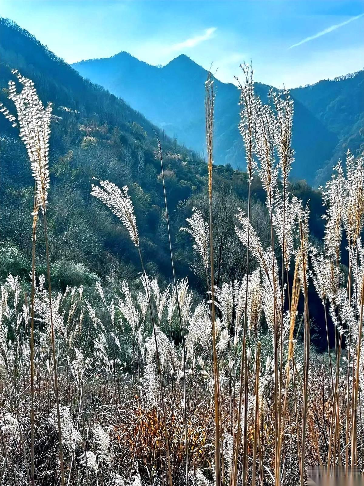 一开盘就给我来了个当头一棒。
说好的反弹呢？直接从三千九百九干到三千九百六，这哪