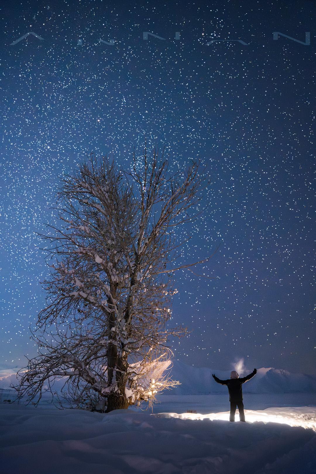 可可托海有一颗孤独的树。夕阳沉匿 夜幕降临 星光之下 它会陪你聆听风的声音