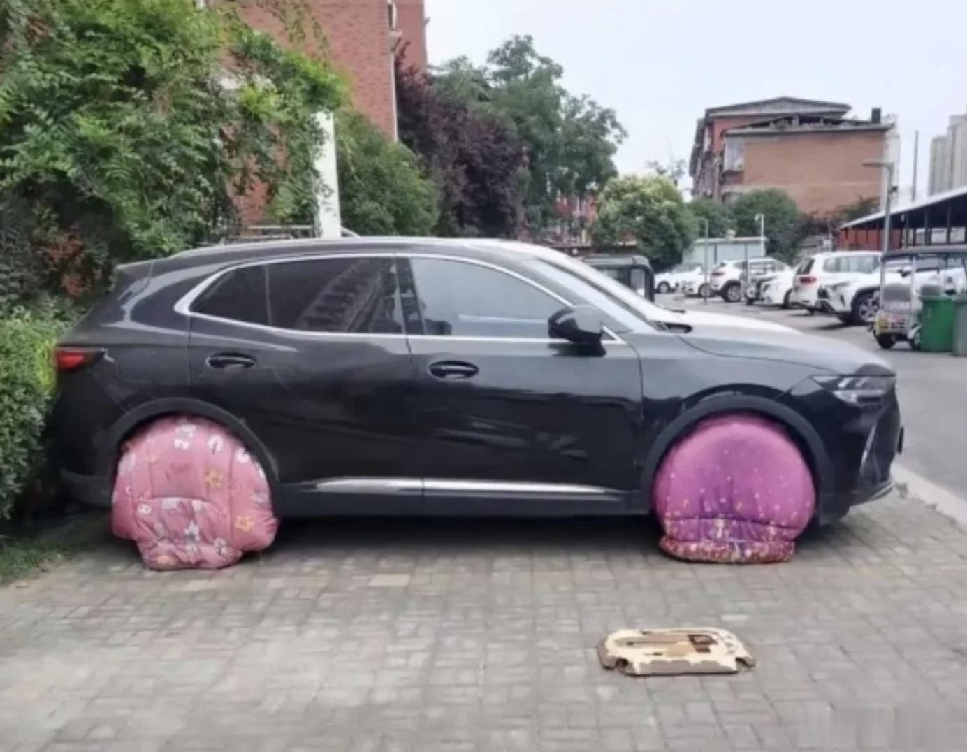 你们知道这种车是什么情况吗？隔壁剪辑小哥说：怕狗尿上去腐蚀轮毂，久了会漏气，也就