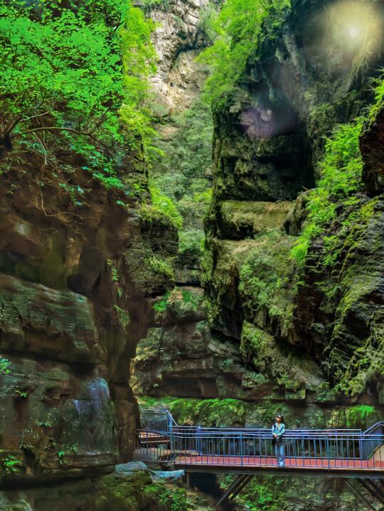 春日上春山‼️神仙大侠谷时隔半年终于开放‼️