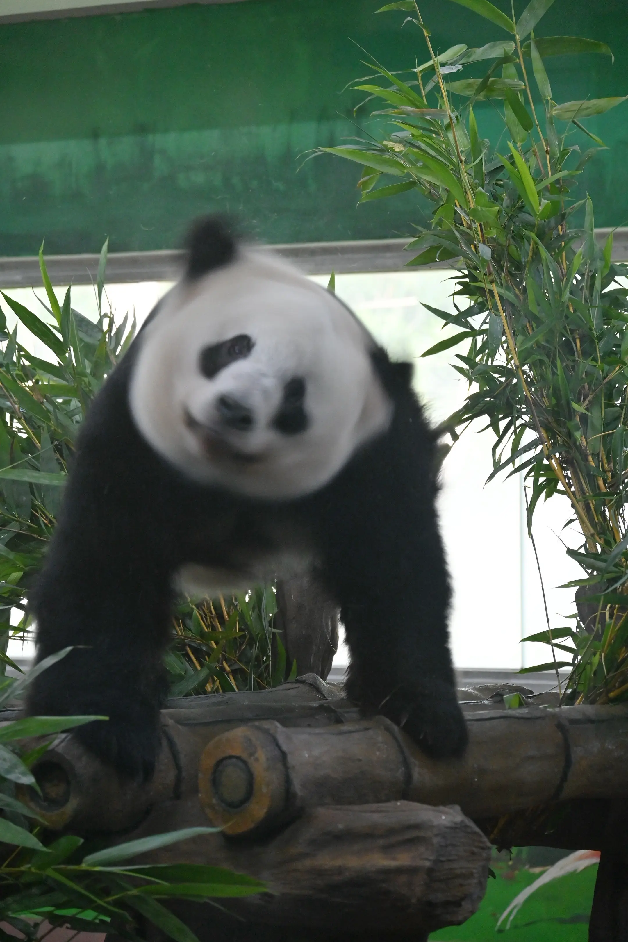 我没有不知足啊