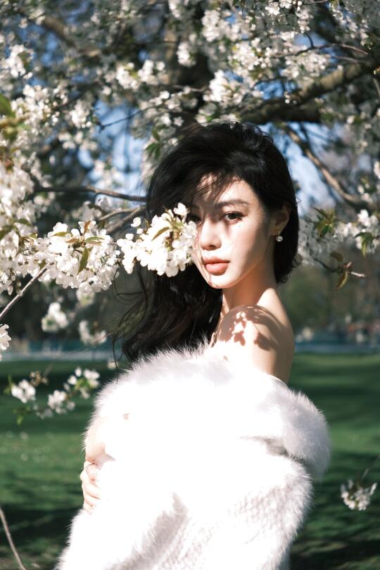 Sakura in London 🌸