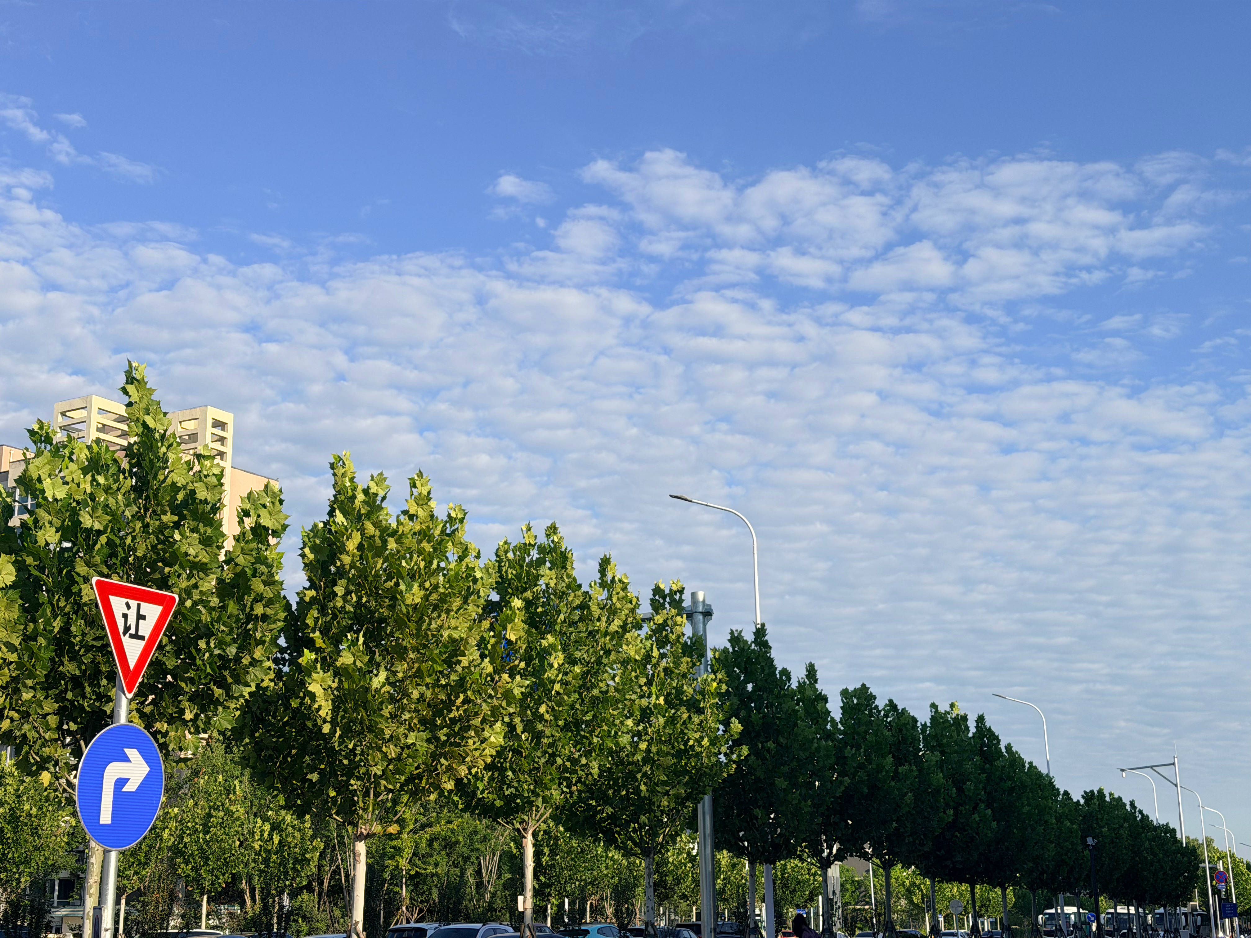 Morning！今天北京长这样