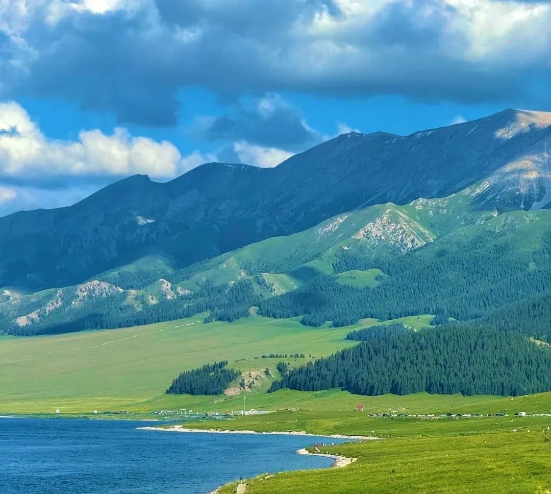 去见一朵花，带着你尚存的五分之一诗意。