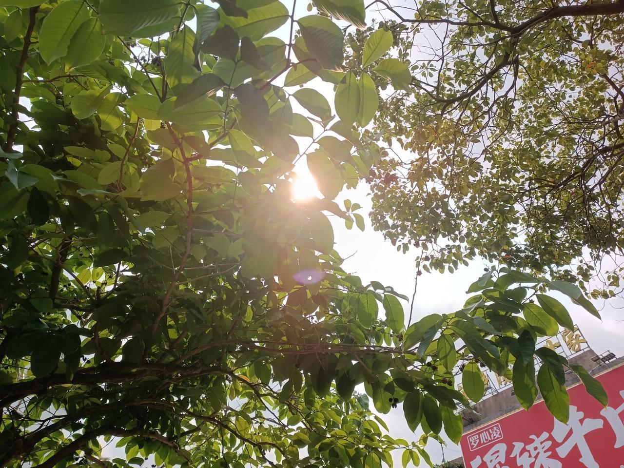 晒一张相栅里的风景照
随手一拍都很美
春意盎然
花木草绿
享受大自然的美
心情豁