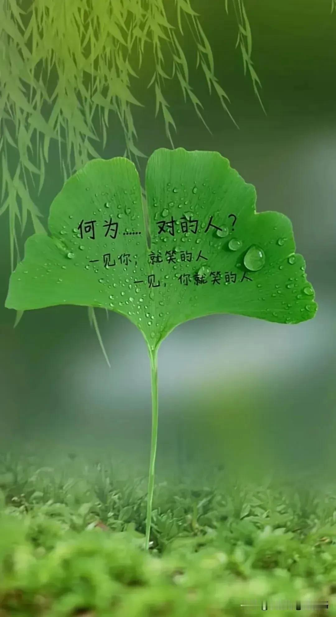 临江仙·甲辰上元
词/朱江南
寒重上元天更冷，魔都电闪雷沉。云低风疾两相侵。坐中