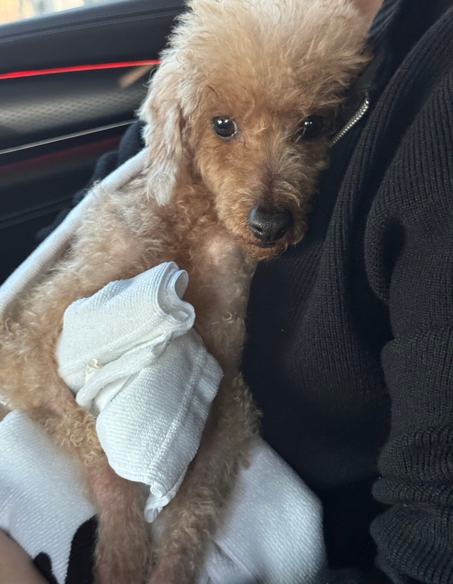 260323🫧itzy黄礼志