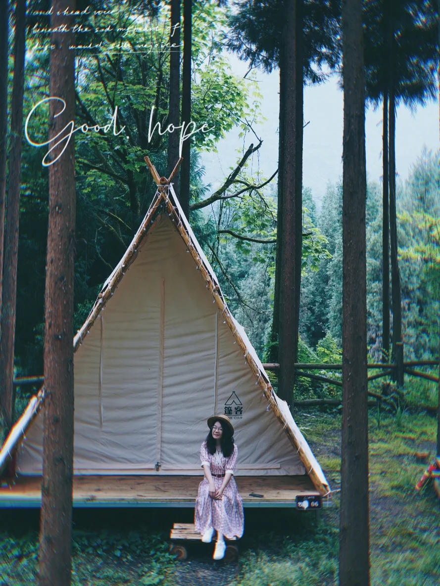远离喧嚣，住进林中小屋给自己放个假🏕