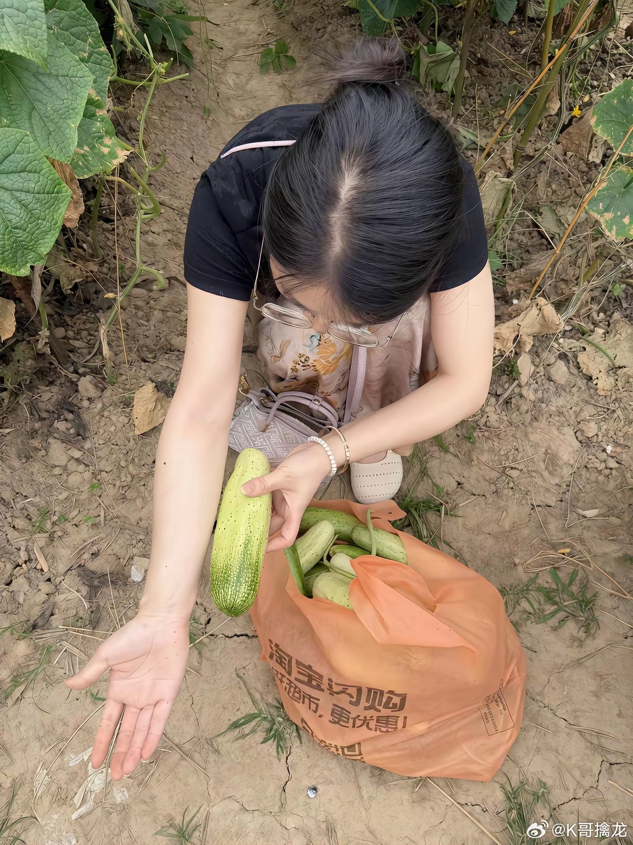 终于实现了黄瓜自由，无公害纯天然，吃都吃不完，根本吃不完。 