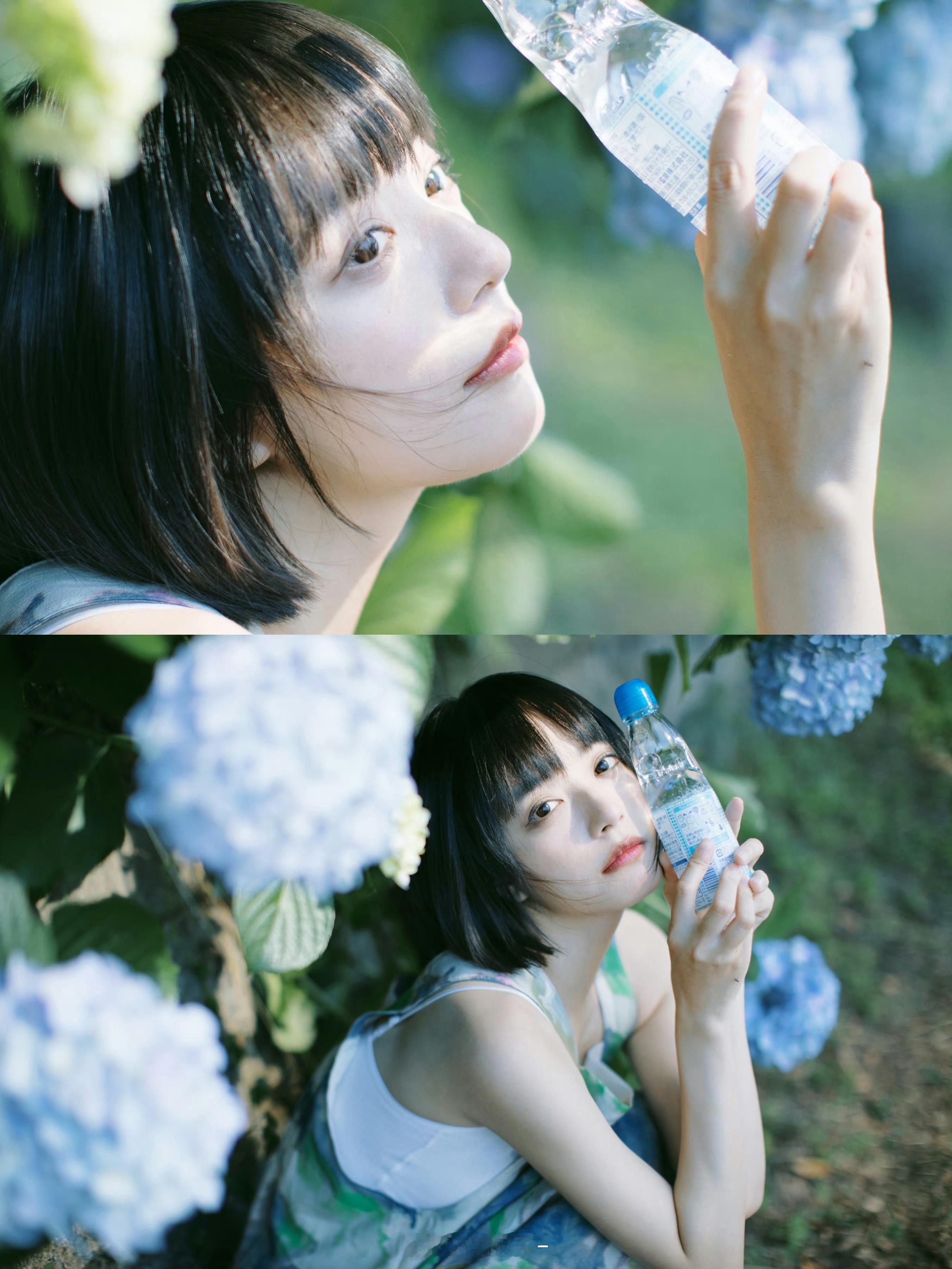 夏日限定的紫阳花 ​​​摄影:​​​