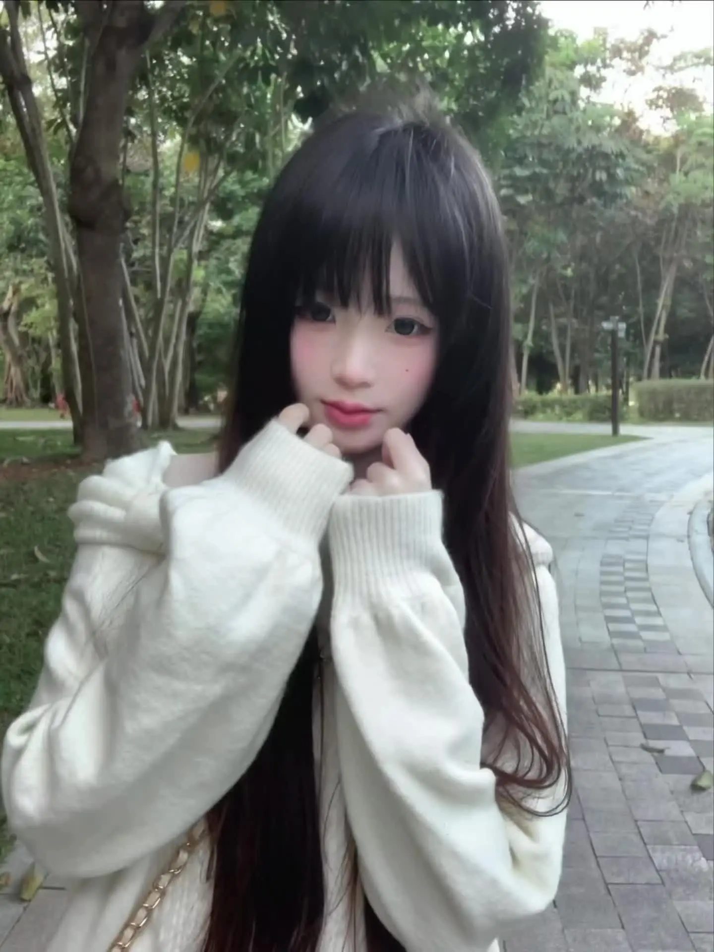你是北纬67度以北的雪