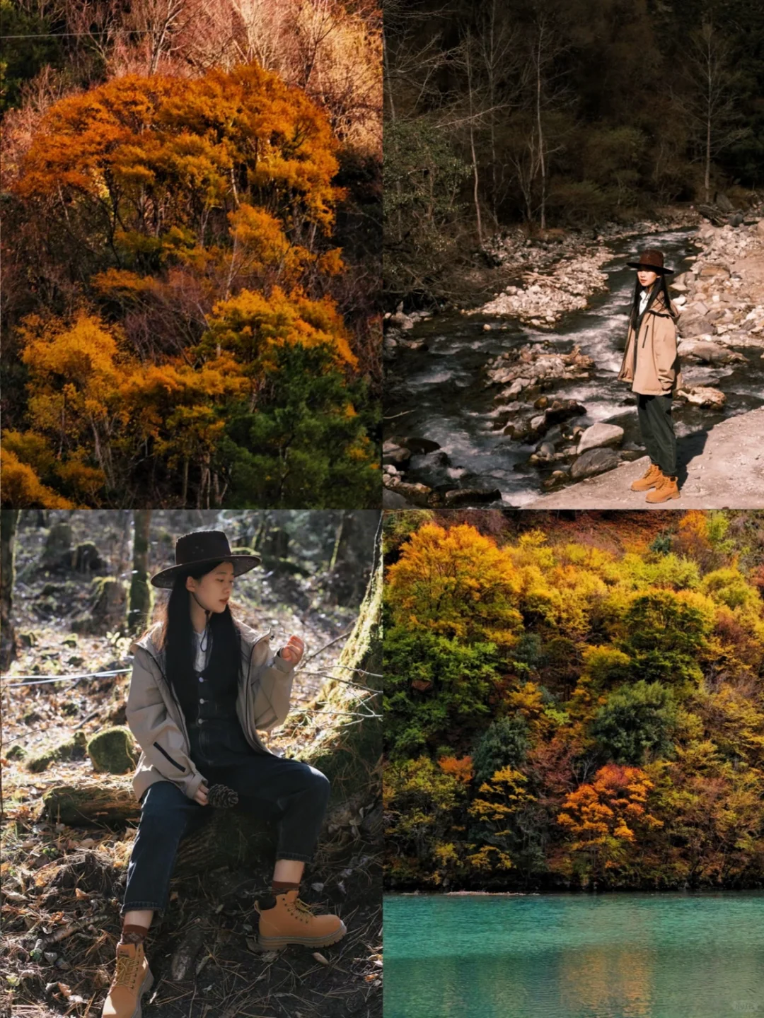 永远会为川西的秋天心动🍂