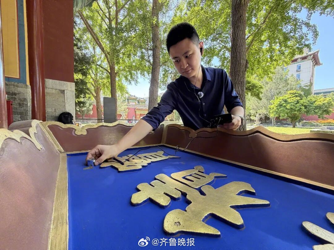 【#专家回应啄木鸟啄北海公园牌匾#：是啄木鸟的生存习性，并非虫蛀】#专家称北海公