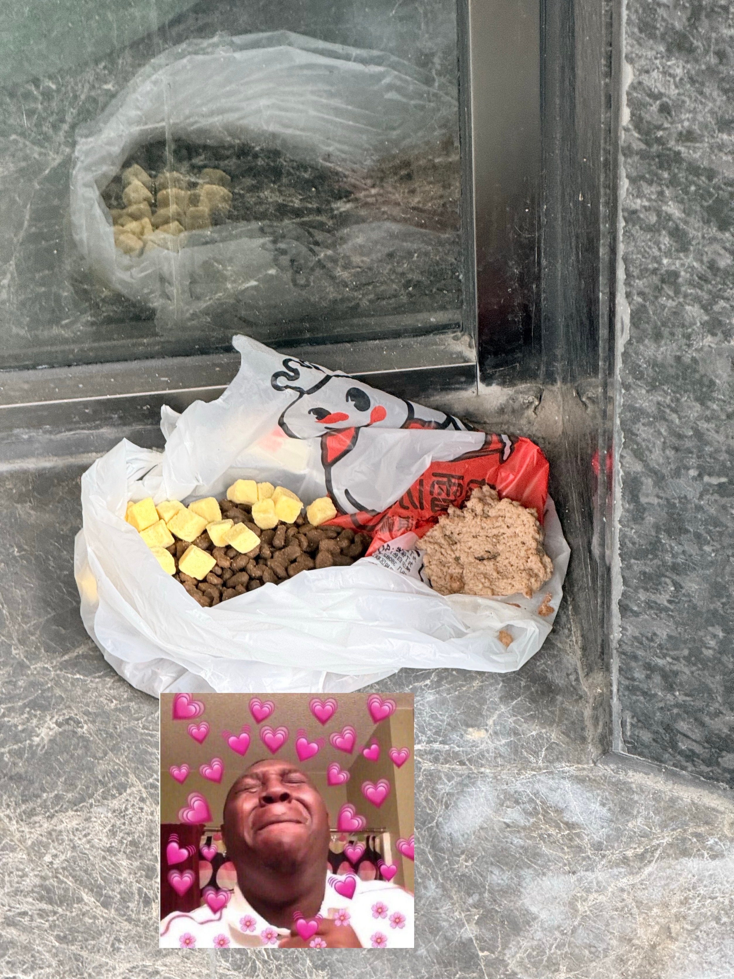 已经在角落发现人类给流浪猫猫准备的台风天物资了但愿不要被吹走 