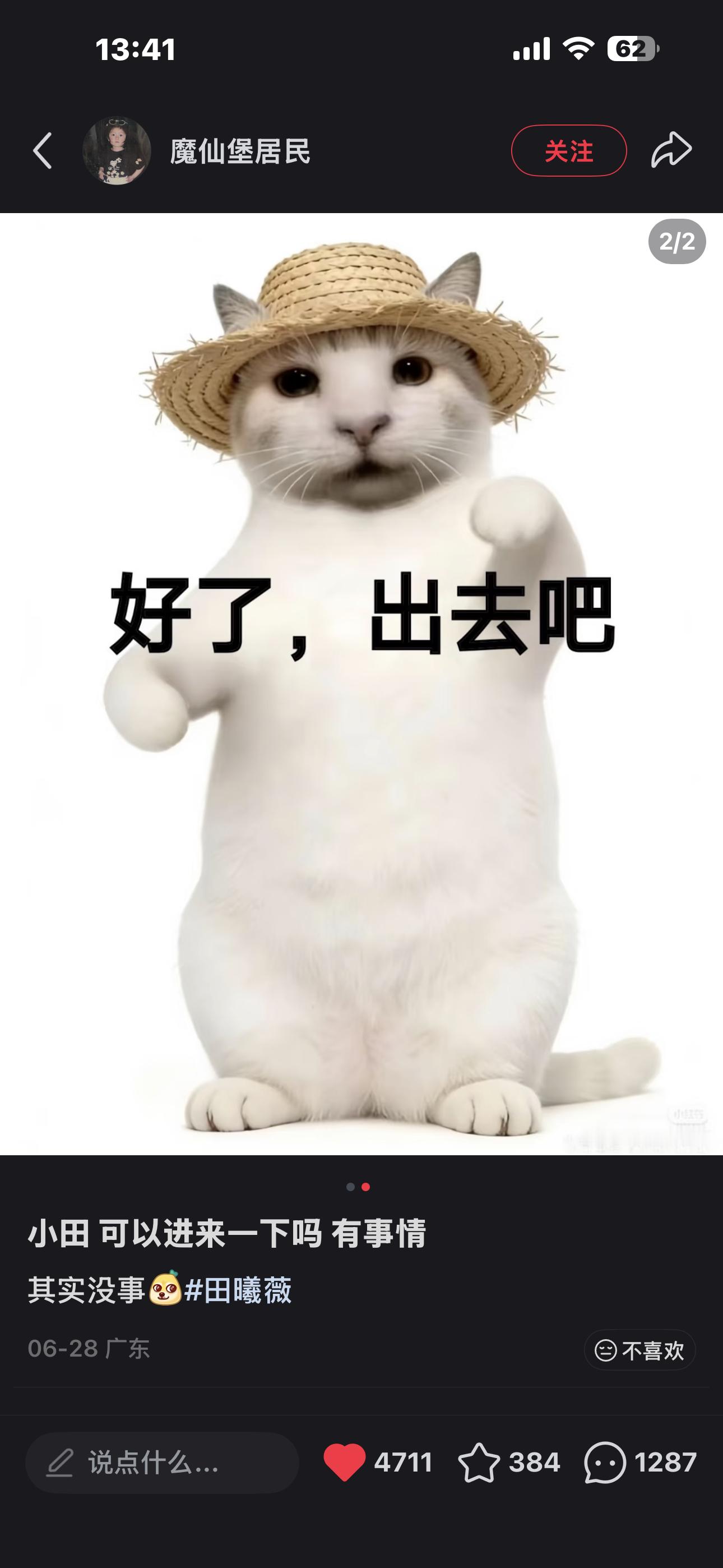 小猫是田曦薇的引诱计 萌死了 