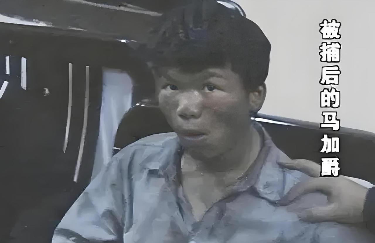 2004年，林某来到317宿舍邀马加爵去食堂吃饭，马加爵卧病不起，林某便带回两份