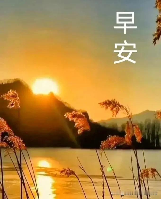 晨曦初现，静谧湖畔，早安世界。今日早起的美景 晨语！ 早安！留住时光 宁静美好的