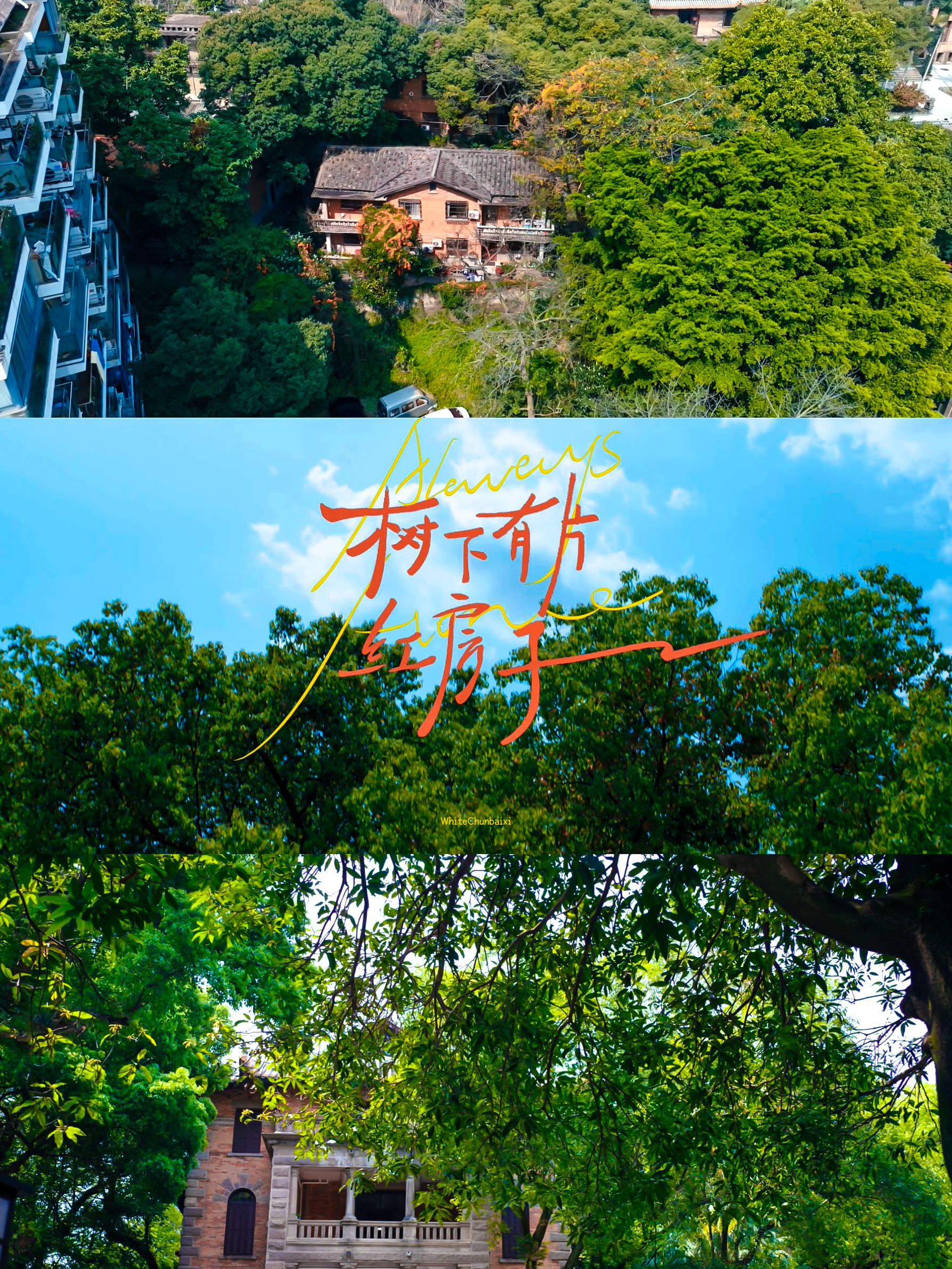 ▶树下有片红房子-我时常会做梦，树变得很高很大，就像乐高搭起的玩具城，树下有一片