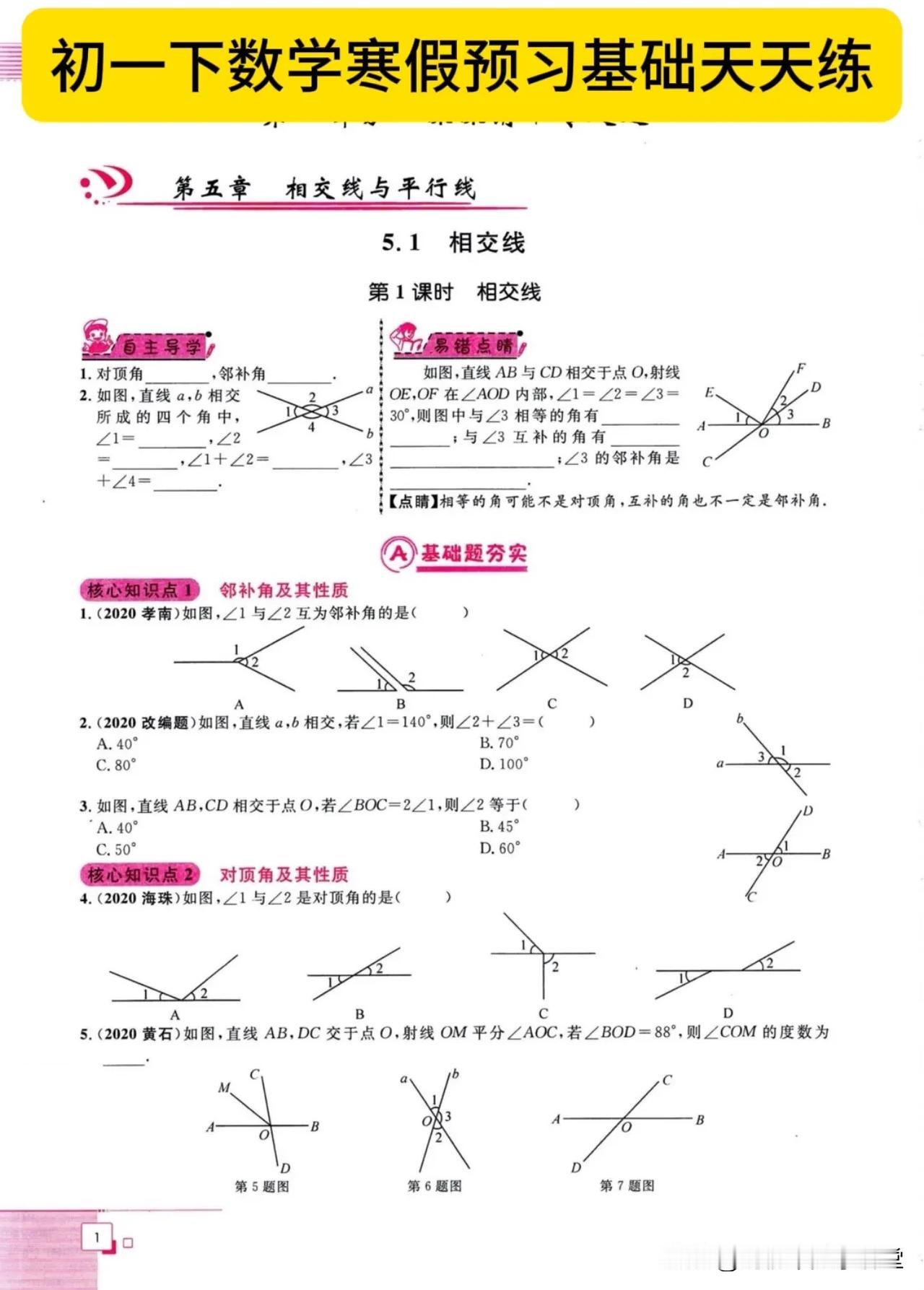 初一下数学寒假预习基础天天练