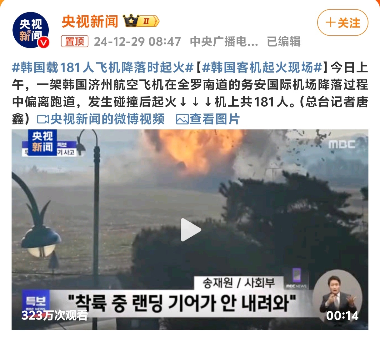韩国载181人飞机降落时起火 看了一下视频和网友分析说是降高度的过程中飞机撞鸟了