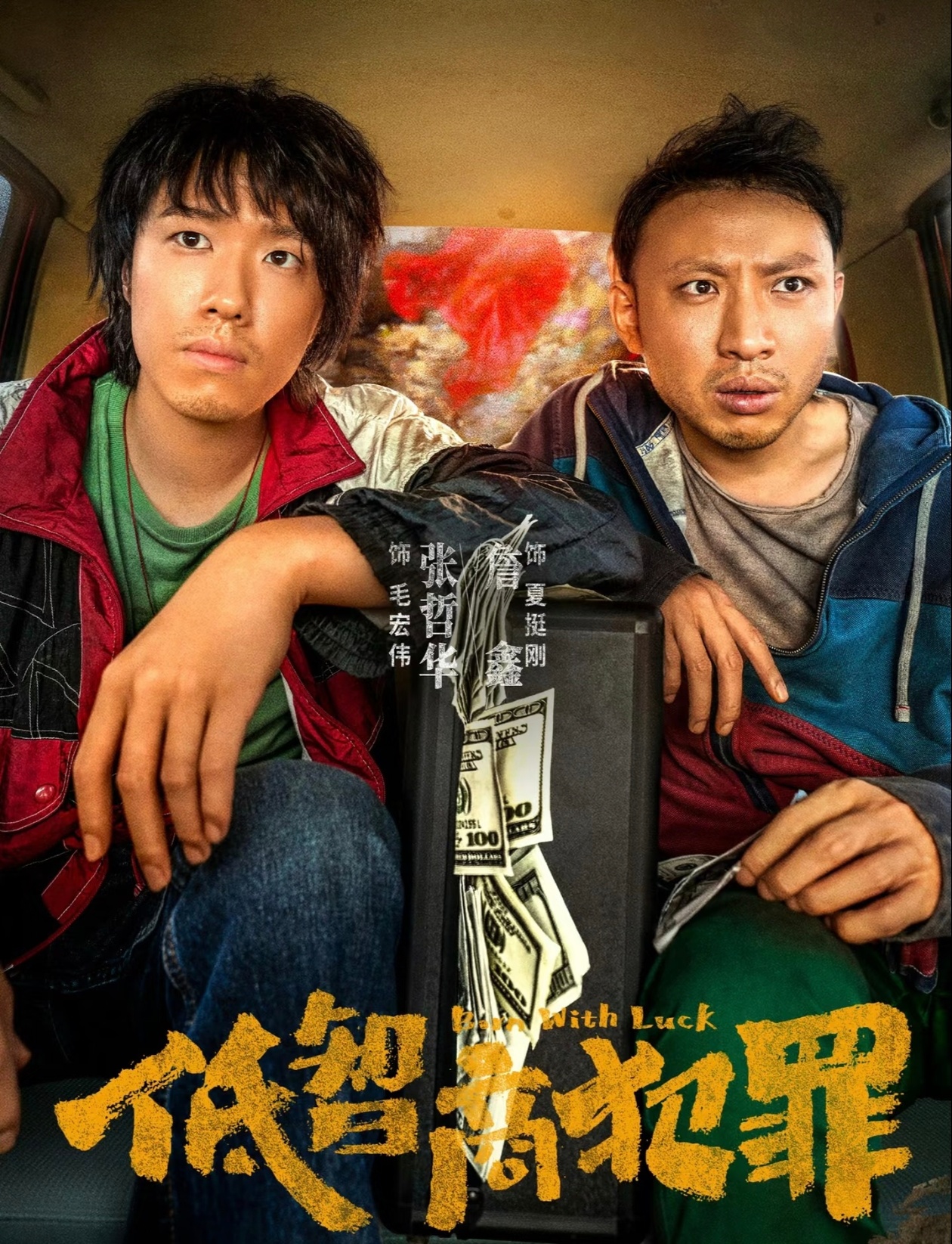 低智商犯罪前段时间看《生命树》邵记者演的很好，这部剧也有他，种草了 过段时间有时