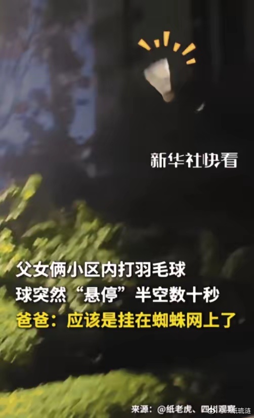 “彻底解释不清了！”在吉林长春一小区发生了不可思议的一幕，父女俩打羽毛球，结果羽