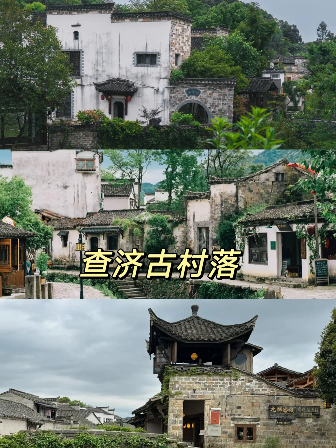 🔥2024年宁国落羽红杉林‼️开始变装啦