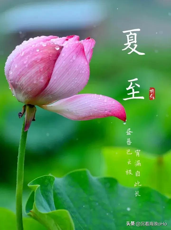 夏至莅临，
有人讲还是“父亲节”

今天，公元2026年6月21日，农历丙午年五