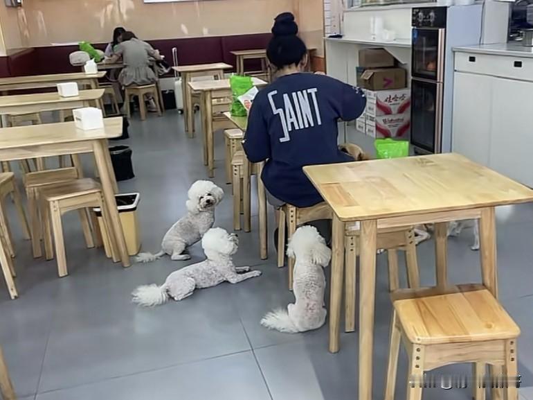 带一个已经够讨厌了，这个直接带一群