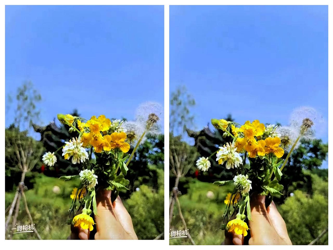 我爸退休金3400多，我妈退休金3200多，俩人每个月6700左右。
​每个月，