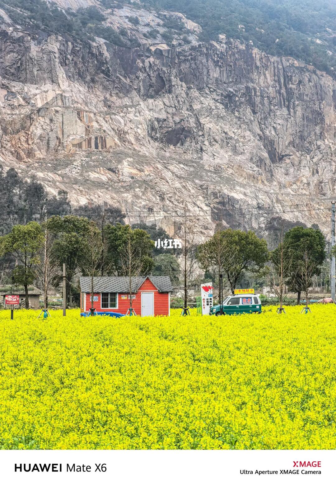 我在温州拍到了氛围感超强的追花季！附攻略