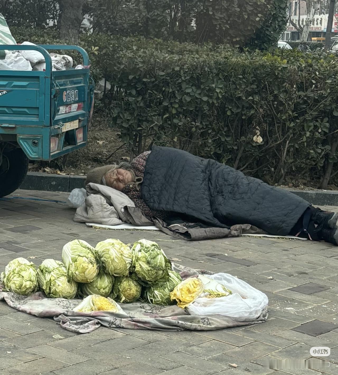 佛家常说：
等哪天你日子顺了，不愁吃穿、安稳自在，
一定要记牢一件事：
看到无家