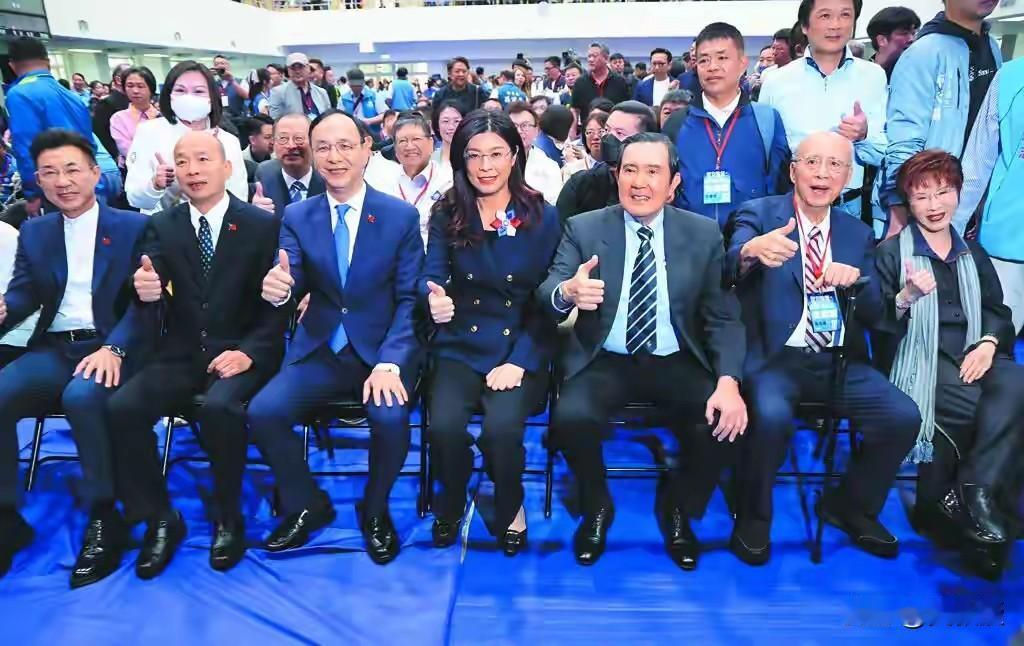 马英九
确实大可不必
亲者痛仇者快
